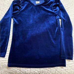 Blue Velvet Long Sleeve Top